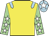 Yellow, light blue epaulets, light green sleeves, white stars, light blue cap, white star