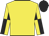 Yellow body, yellow and black quartered sleeves, black cap