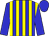 Blue and yellow stripes, blue sleeves and cap