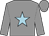 Grey, light blue star