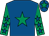 Royal blue, emerald green star, emerald green sleeves, royal blue stars, royal blue cap, emerald green star