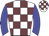 White body, garnet checked, big-blue arms, white cap, garnet checked