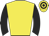 Yellow, black sleeves, black hoops on cap