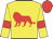 Yellow, red  lion, armbands and cap