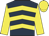 dark blue, yellow chevrons, yellow sleeves and cap