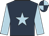 Dark blue, light blue star and sleeves, quartered cap