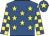 Royal blue, yellow stars, yellow and royal blue check sleeves, royal blue cap, yellow star