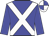 Blue body, white cross belts, blue arms, white cap, blue quartered