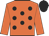 Orange Body, Black Spots, Orange Arms, Black Cap