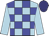 light blue, blue checks, light blue sleeves, navy cap