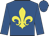 Royal blue, yellow fleur de lys