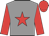 Grey, Red star, sleeves and cap