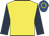 Yellow, dark blue sleeves, royal blue cap, yellow hoop
