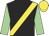 Black, yellow sash, light green sleeves, yellow cap