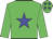 Lime green, blue star, lime green sleeves, lime green cap, blue stars