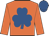 Bright orange, royal blue shamrock, bright orange sleeves , royal blue cap
