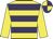  yellow and  purple hoops,  yellow sleeves, quartered cap, purple peak