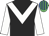 Black, white chevron & sleeves, em green & royal blue striped cap