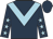 Dark blue, light blue chevron, dark blue sleeves, light blue stars