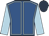 royal blue, light blue seams, light blue sleeves, dark blue cap