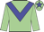 light green, blue chevron, blue star on cap