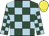 Dark green body, light blue checked, dark green arms, light blue checked, yellow cap