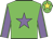 Green body, mauve star, mauve arms, green seams, green cap, yellow star