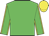 Lime green, yellow seams on sleeves, yellow cap