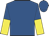 Royal blue, royal blue and yellow halved sleeves, royal blue cap