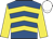 royal blue, yellow chevrons, yellow sleeves, white cap