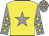 yellow, grey star, grey sleeves, yellow stars, grey cap, yellow stars