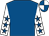 Royal blue, white sleeves, royal blue stars, quartered cap