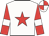 White, red star, red sleeves, white armlet, red & white quartered cap