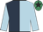 Light Blue & Dark Blue halved, Light Blue sleeves, Emerald Green cap, Black star