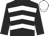 Black, white chevrons, black sleeves, white cap