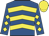 Royal blue, yellow chevrons, diamonds on sleeves, yellow cap