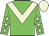 Big-green body, beige chevron, big-green arms, beige stars, beige cap