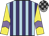light blue, purple stripes, yellow sleeves, mauve chevron, grey and black checked cap