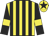 Yellow and black stripes, black sleeves, yellow armlets, yellow cap, black star