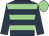 Dark blue & light green hoops, dark blue sleeves, light green cap