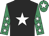 Black, white star, emerald green sleeves, white stars, emerald green cap, white star
