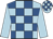 Light blue and royal blue check, light blue sleeves