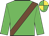 Lime green, chocolate sash, lime green and yellow quartered cap
