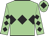 Light green, black triple diamond, diamonds on sleeves, light green cap, black diamond