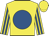 yellow, royal blue ball, royal blue stripes on sleeves, yellow cap