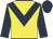 yellow, dark blue chevron, dark blue sleeves and cap