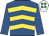 Royal blue & yellow chevrons, royal blue sleeves, white cap, emerald green spots
