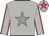 light grey, grey star, red seams on sleeves, red star on cap