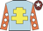 Light blue, yellow cross of lorraine, orange sleeves, white diamonds, maroon cap, white star