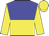 blue and yellow halved horizontally, yellow sleeves and cap